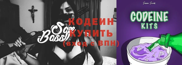 хмурый Лиски