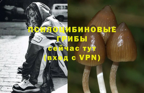 MESCALINE Лагань