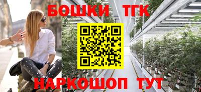 хмурый Абакан