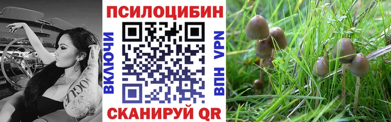 Псилоцибиновые грибы ЛСД  наркошоп  Ковров 
