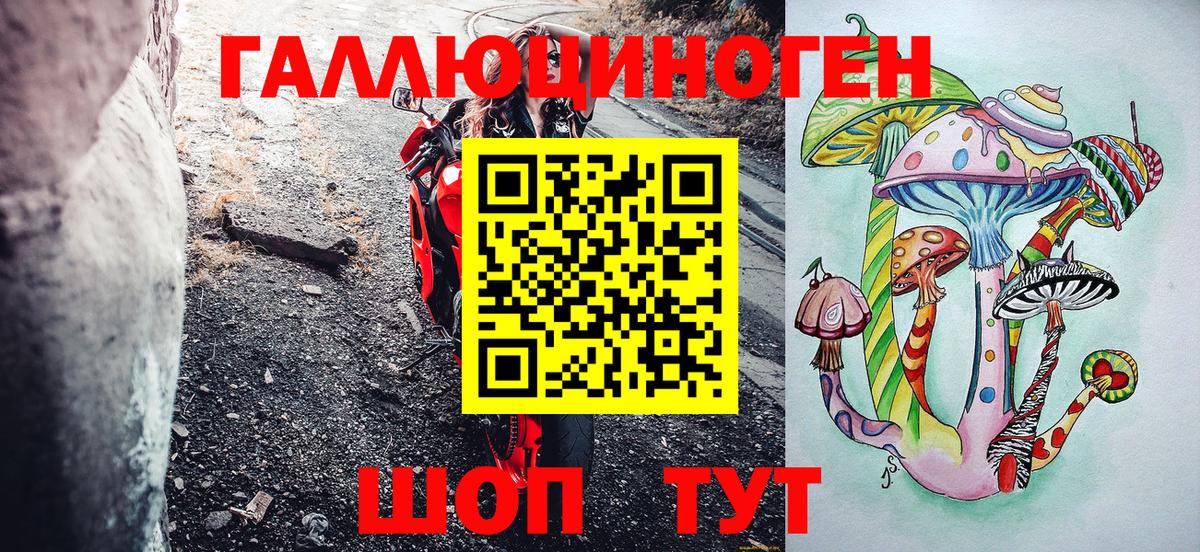 Ковров  Галлюциногенные грибы Cubensis  Вход с VPN 